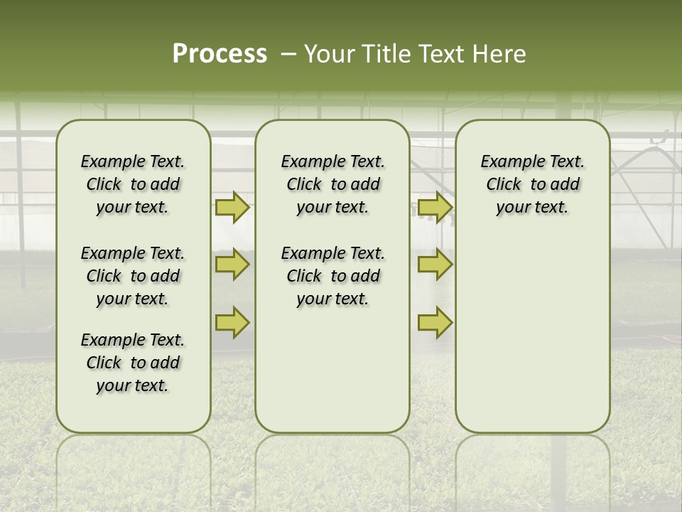 Water Spray Plant PowerPoint Template