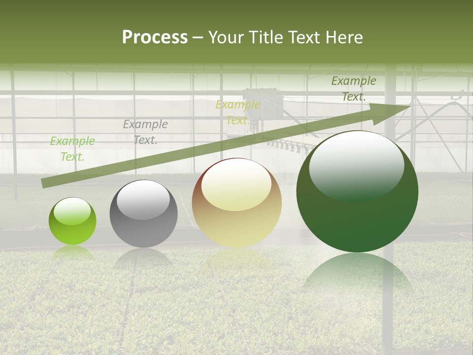 Water Spray Plant PowerPoint Template