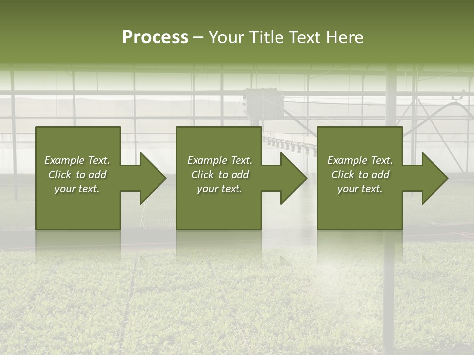 Water Spray Plant PowerPoint Template