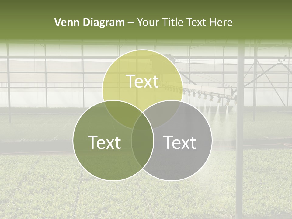 Water Spray Plant PowerPoint Template