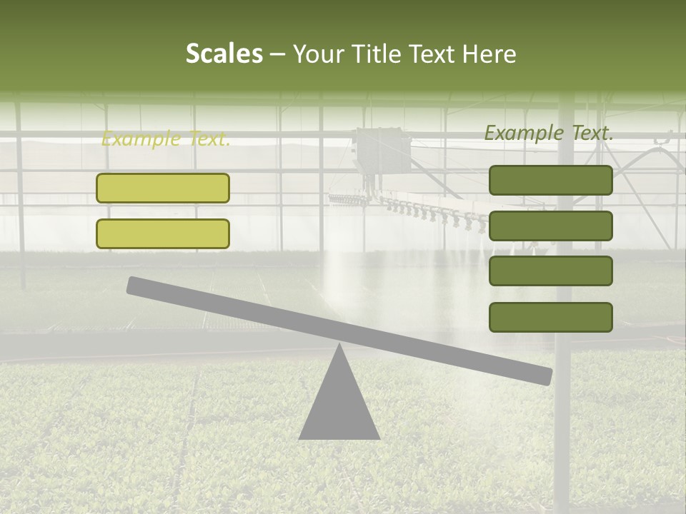 Water Spray Plant PowerPoint Template