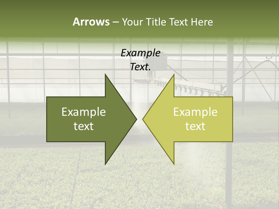 Water Spray Plant PowerPoint Template