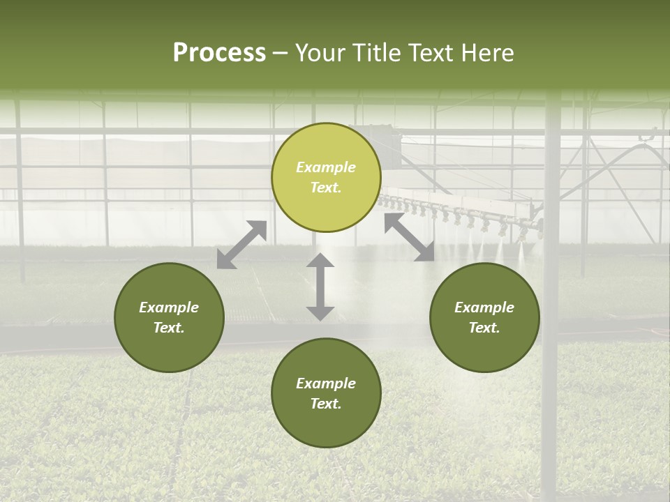 Water Spray Plant PowerPoint Template