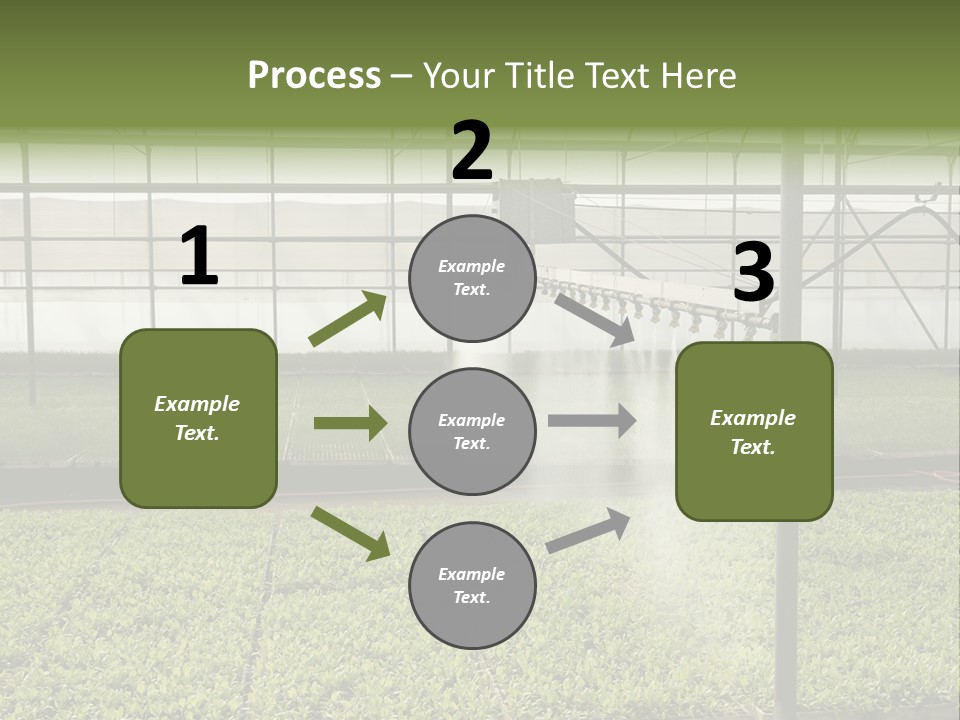 Water Spray Plant PowerPoint Template