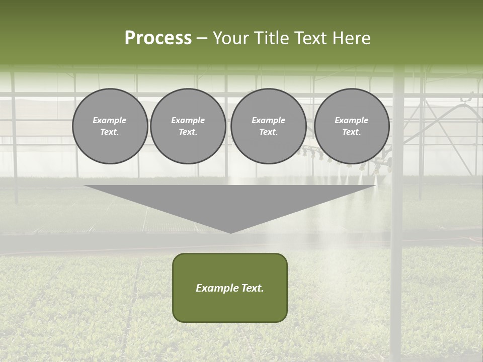 Water Spray Plant PowerPoint Template