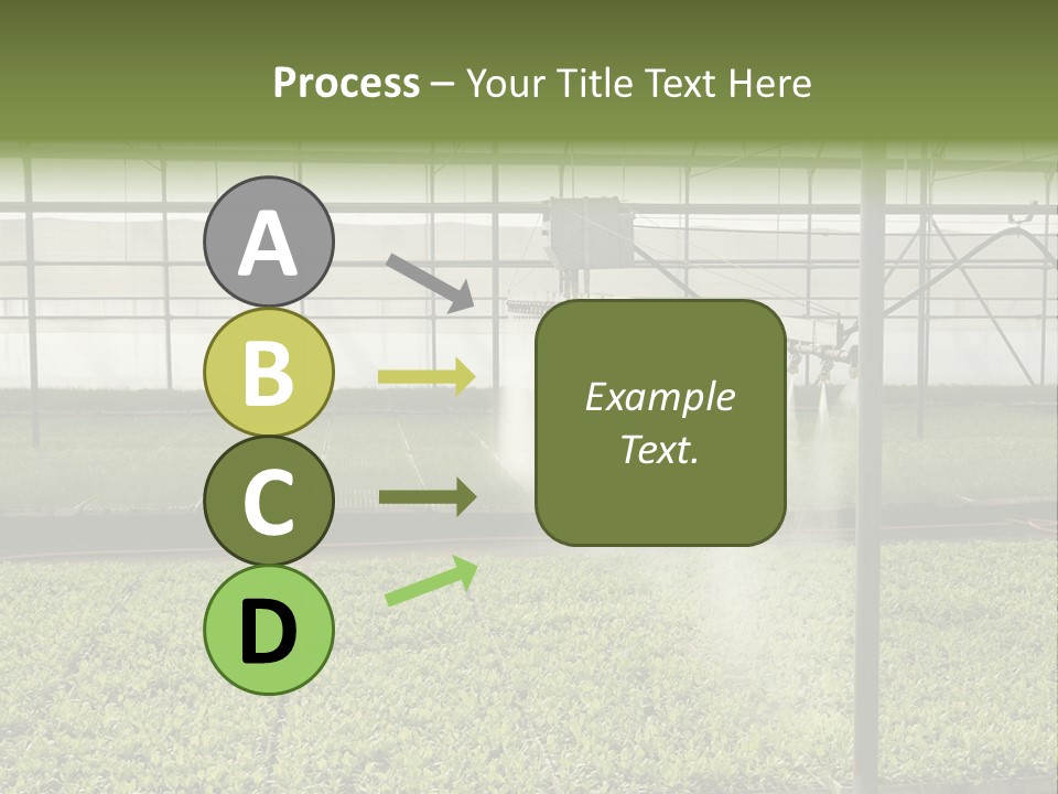 Water Spray Plant PowerPoint Template