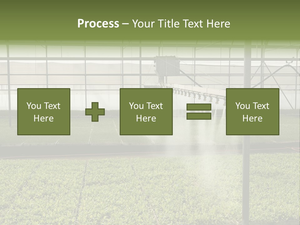 Water Spray Plant PowerPoint Template