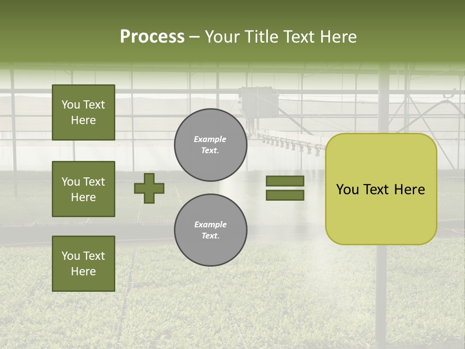 Water Spray Plant PowerPoint Template