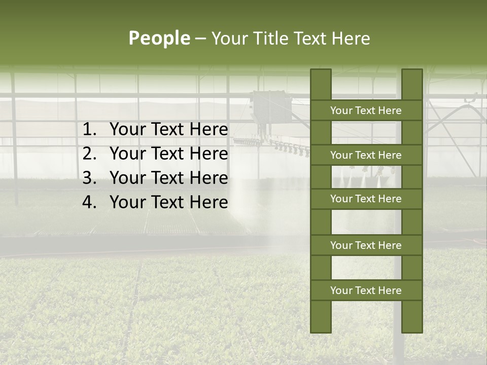 Water Spray Plant PowerPoint Template