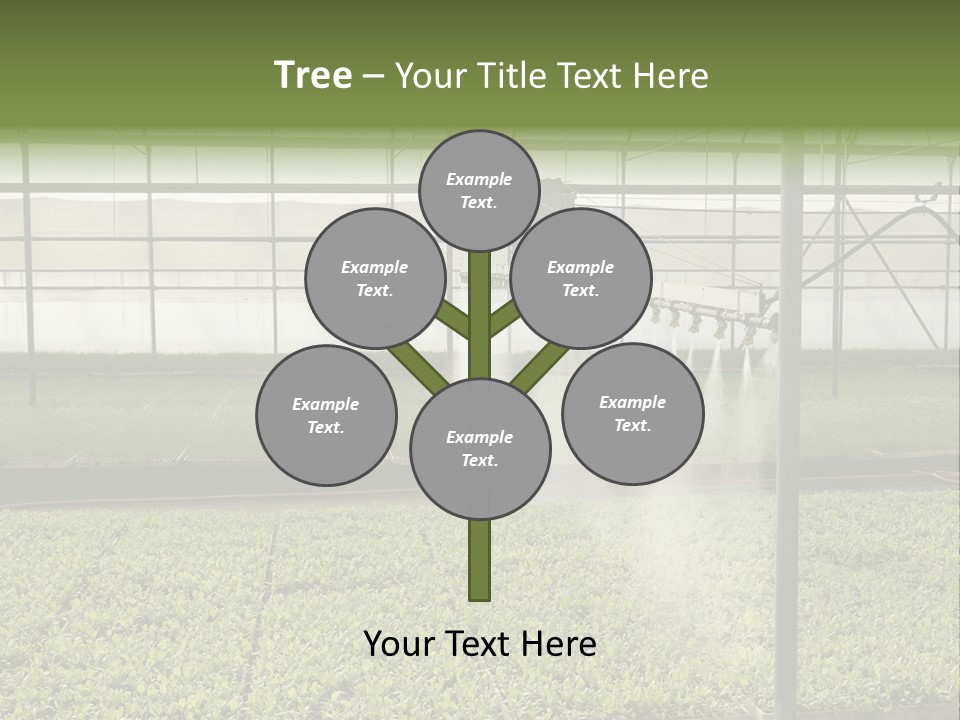 Water Spray Plant PowerPoint Template