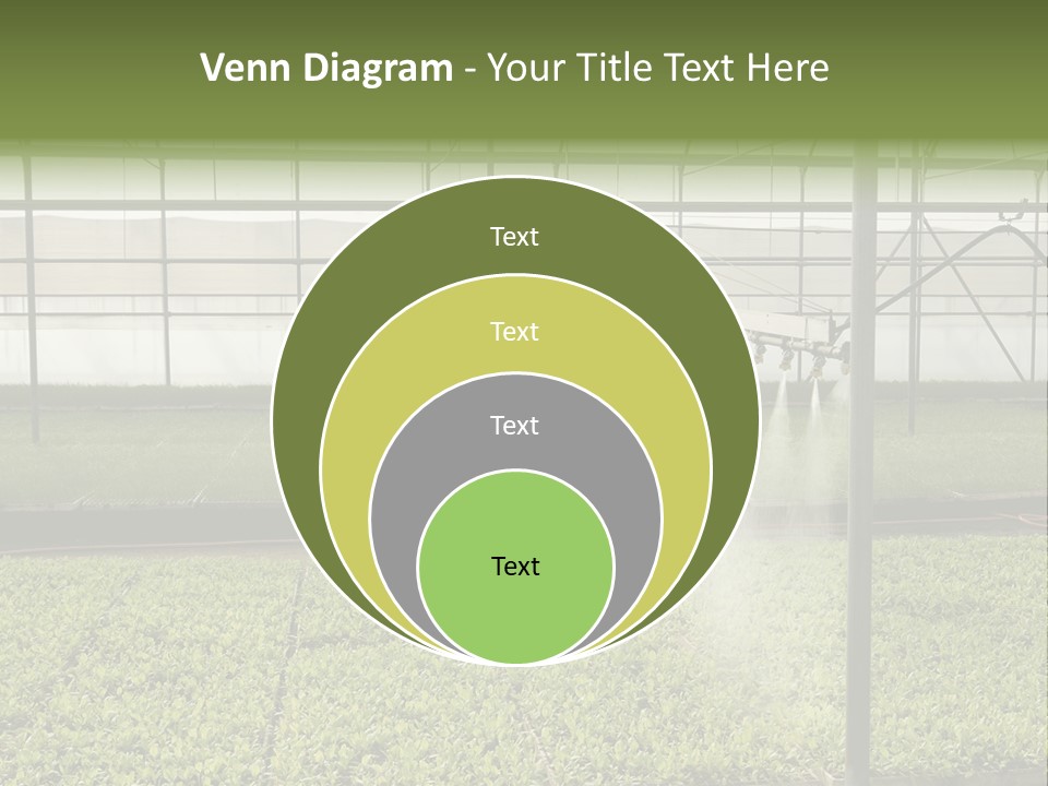 Water Spray Plant PowerPoint Template