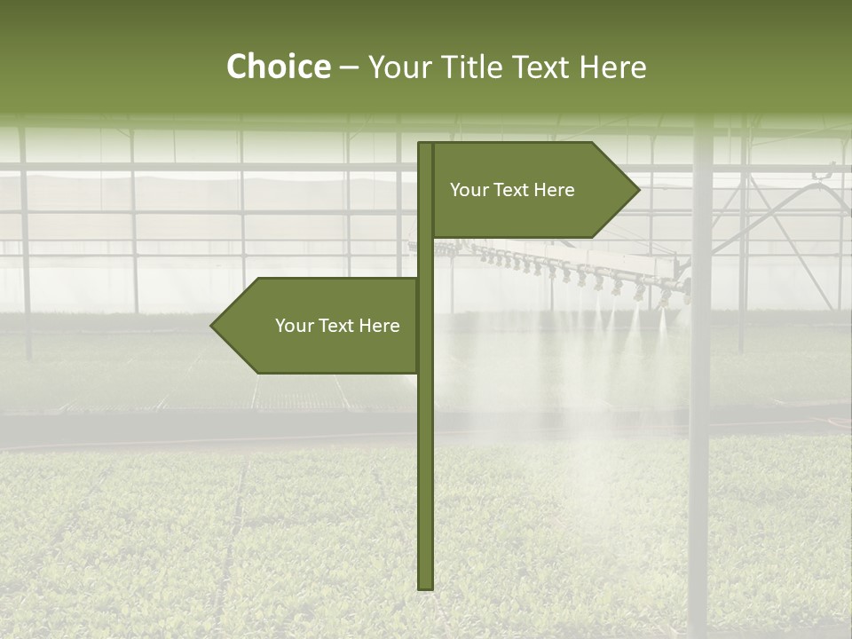 Water Spray Plant PowerPoint Template