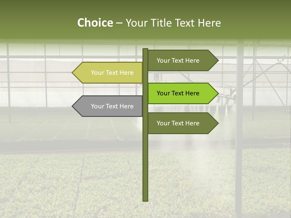 Water Spray Plant PowerPoint Template