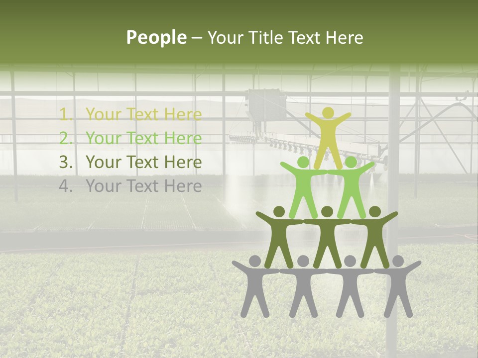 Water Spray Plant PowerPoint Template