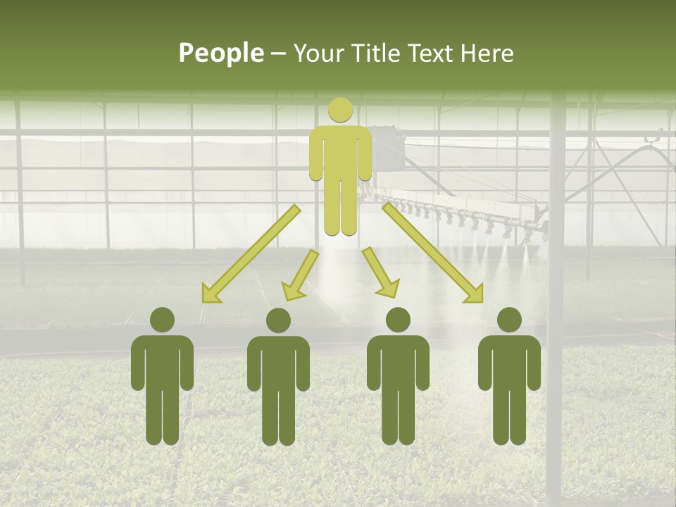 Water Spray Plant PowerPoint Template