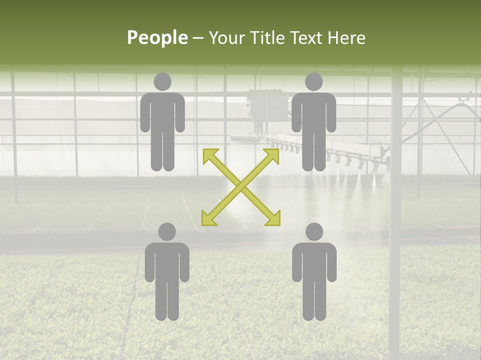 Water Spray Plant PowerPoint Template