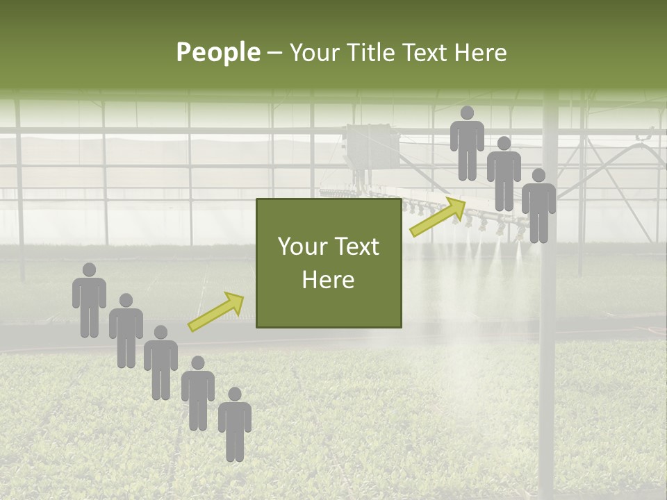 Water Spray Plant PowerPoint Template