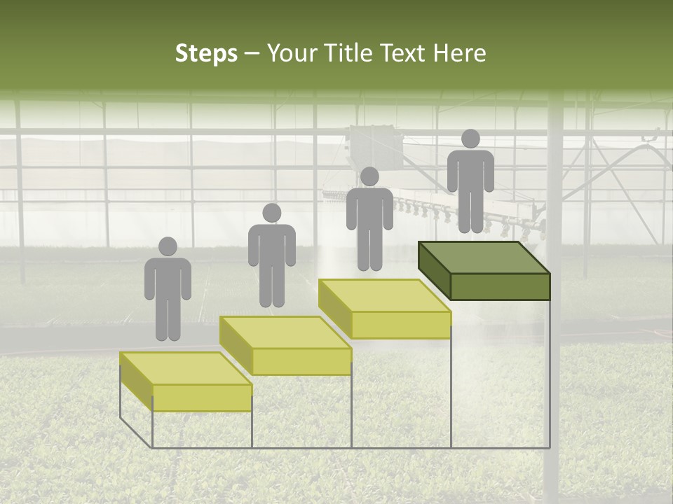 Water Spray Plant PowerPoint Template