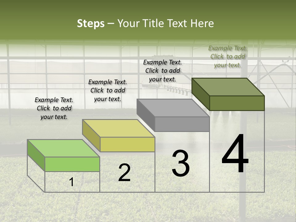 Water Spray Plant PowerPoint Template