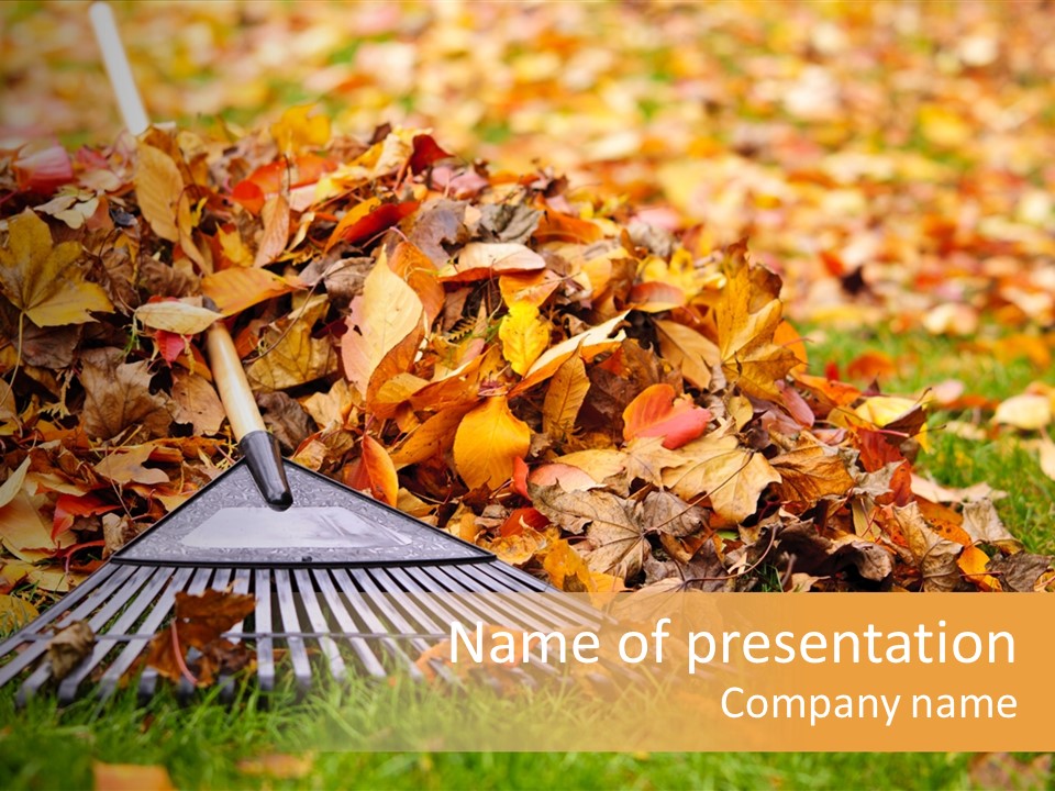 Autumn Landscaping Piled PowerPoint Template