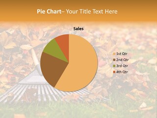 Autumn Landscaping Piled PowerPoint Template