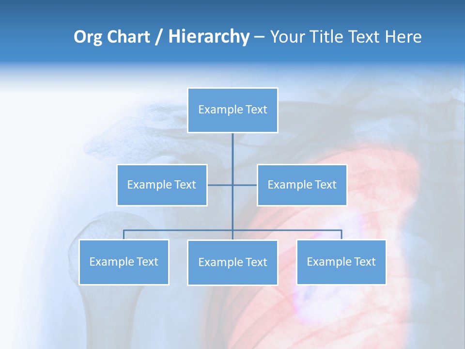 Image Torso Smile PowerPoint Template