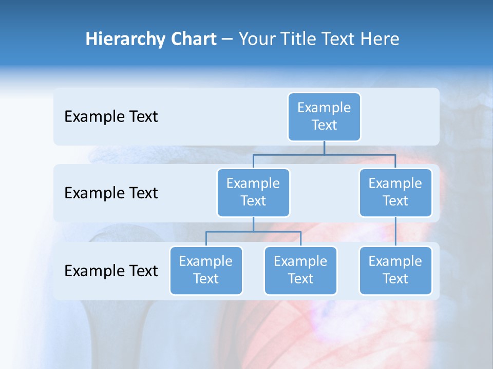 Image Torso Smile PowerPoint Template