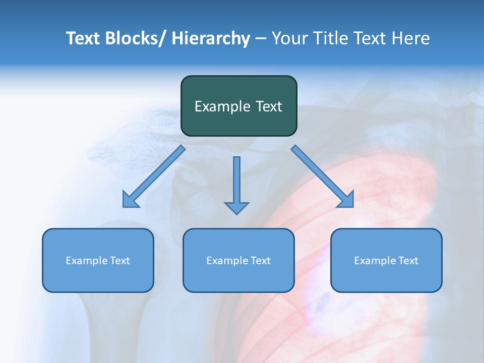 Image Torso Smile PowerPoint Template
