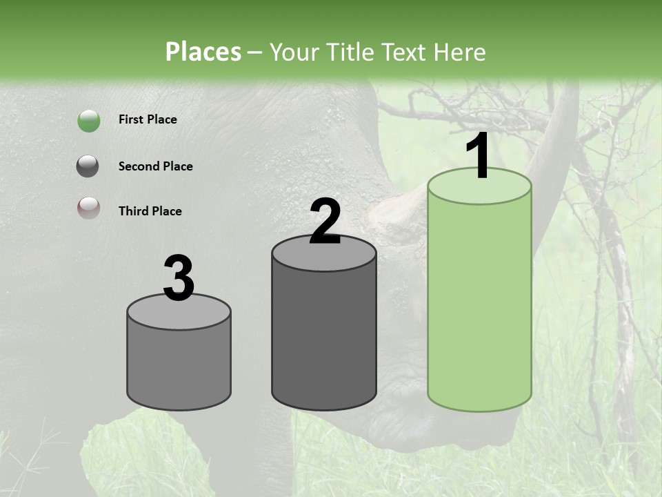 A Rhino Is Standing In The Grass Near A Tree PowerPoint Template