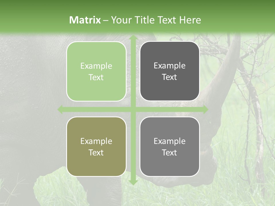 A Rhino Is Standing In The Grass Near A Tree PowerPoint Template