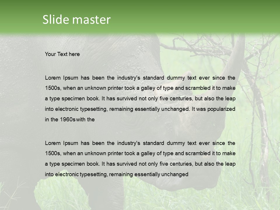 A Rhino Is Standing In The Grass Near A Tree PowerPoint Template