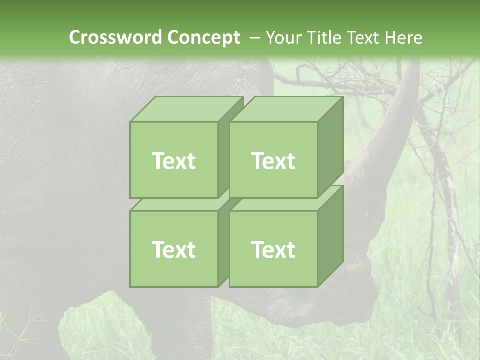 A Rhino Is Standing In The Grass Near A Tree PowerPoint Template