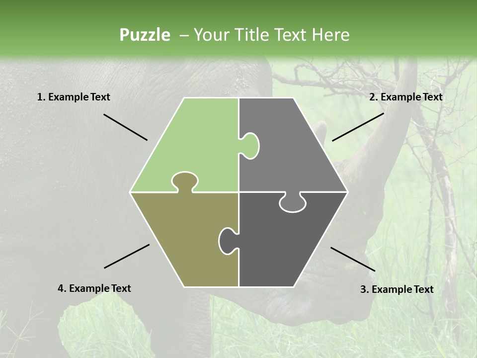 A Rhino Is Standing In The Grass Near A Tree PowerPoint Template
