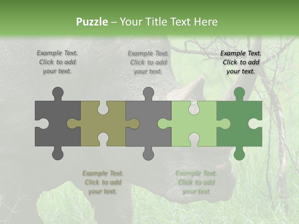 A Rhino Is Standing In The Grass Near A Tree PowerPoint Template