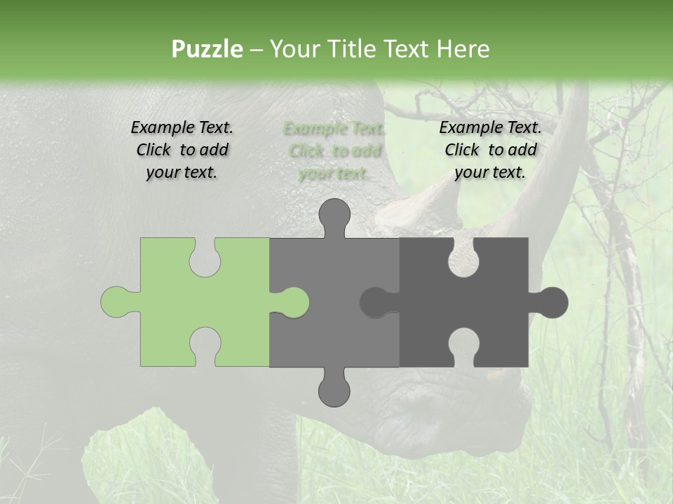 A Rhino Is Standing In The Grass Near A Tree PowerPoint Template