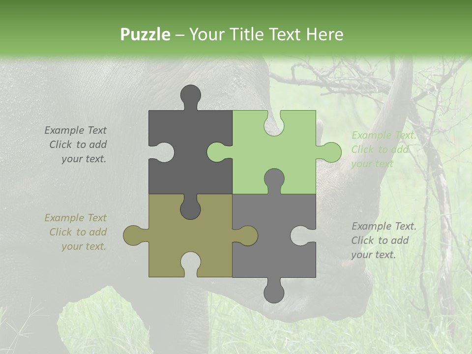 A Rhino Is Standing In The Grass Near A Tree PowerPoint Template