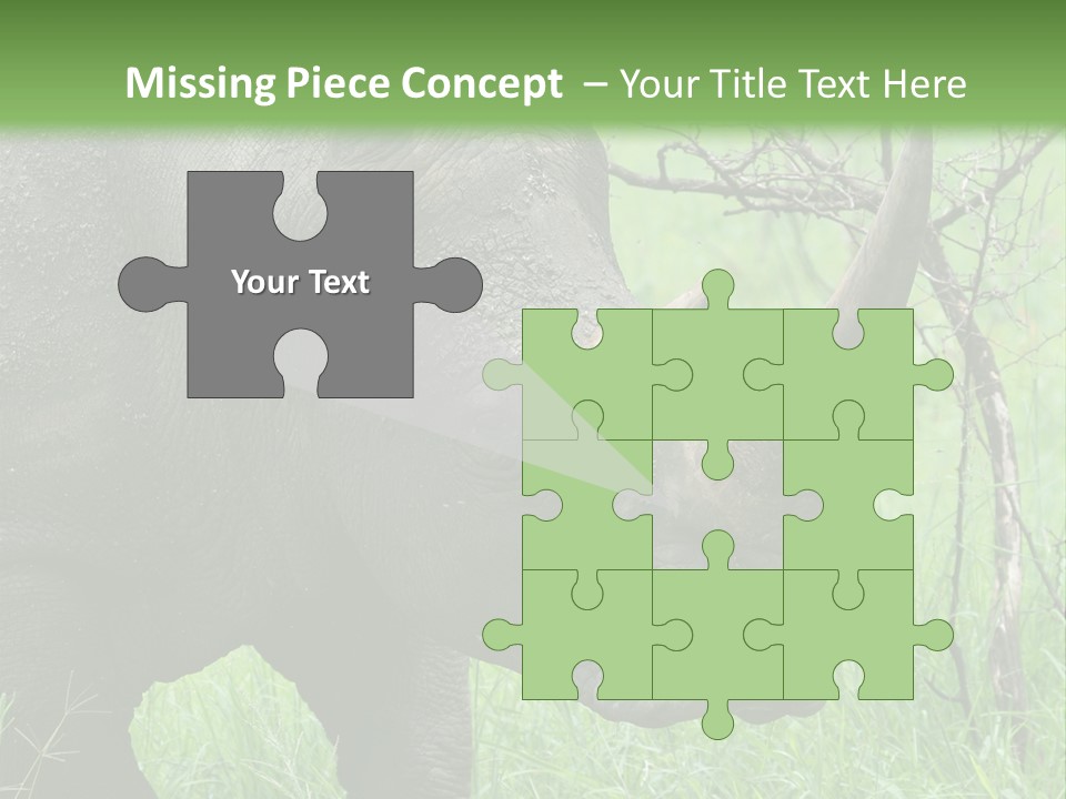 A Rhino Is Standing In The Grass Near A Tree PowerPoint Template