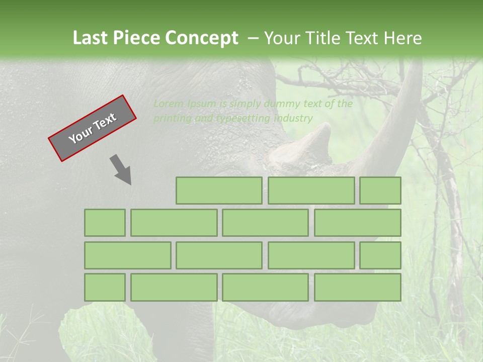 A Rhino Is Standing In The Grass Near A Tree PowerPoint Template