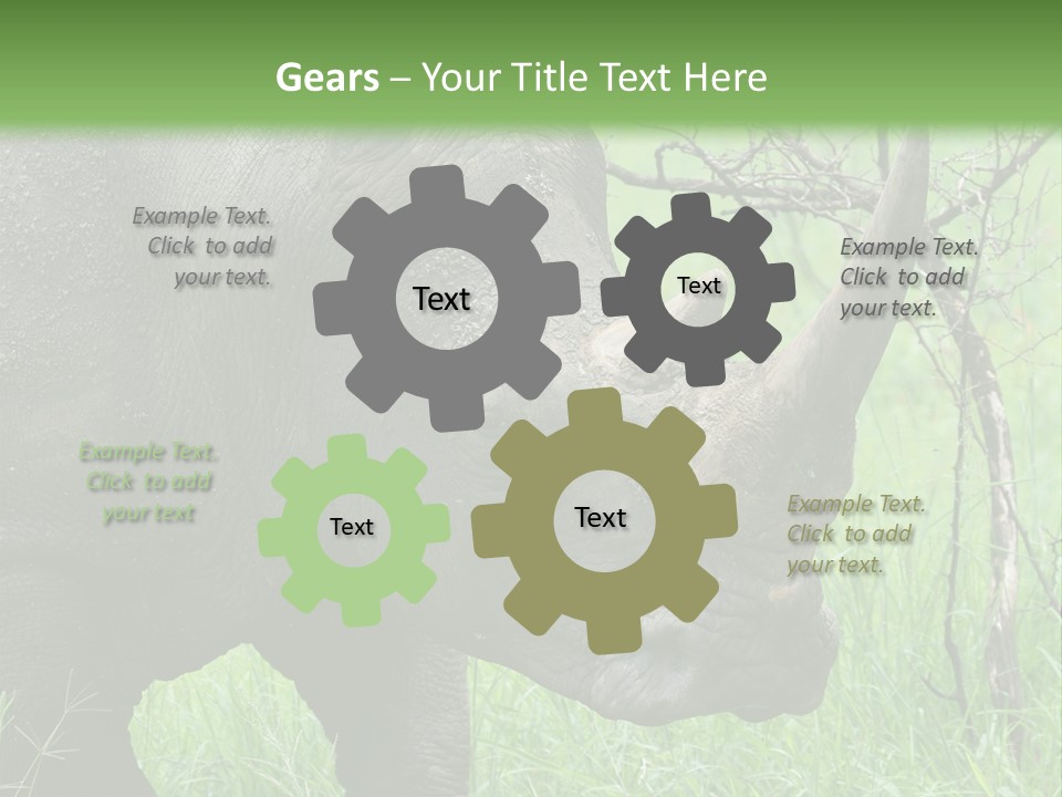 A Rhino Is Standing In The Grass Near A Tree PowerPoint Template