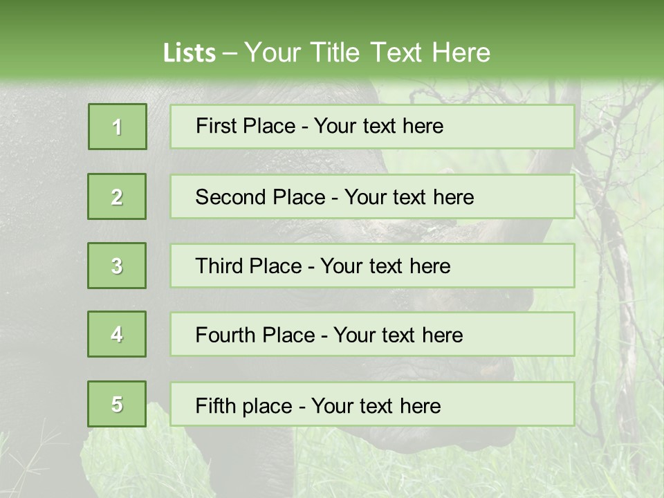 A Rhino Is Standing In The Grass Near A Tree PowerPoint Template