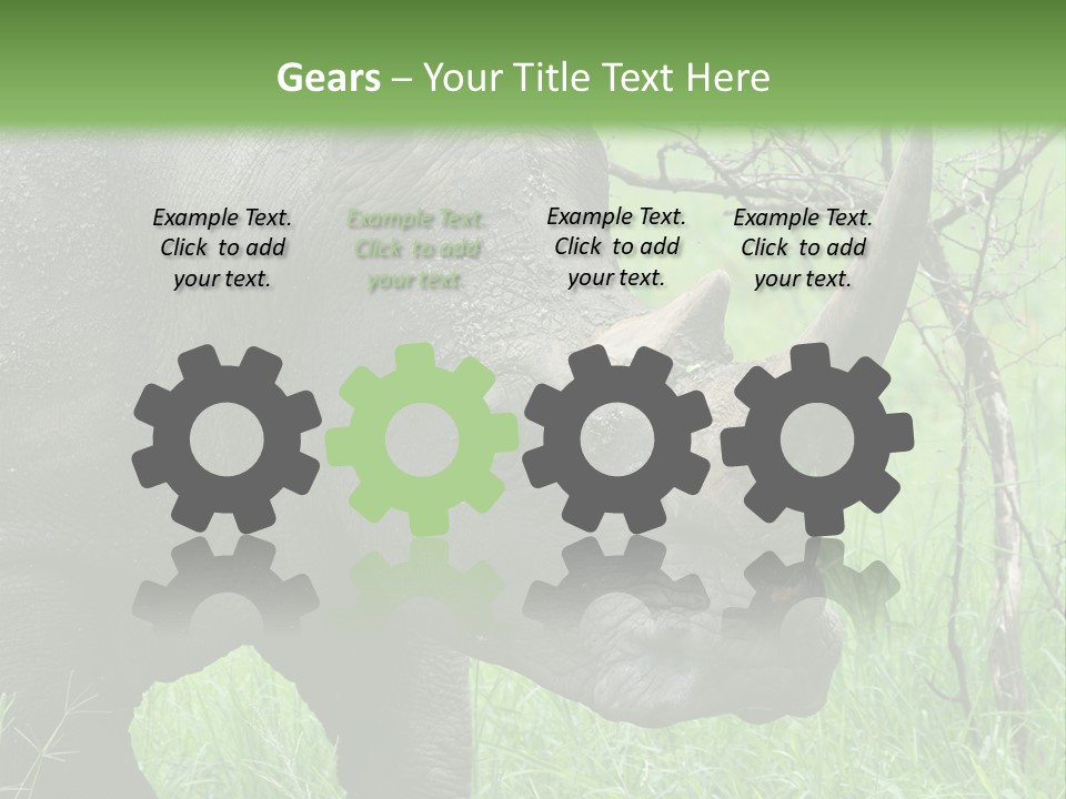 A Rhino Is Standing In The Grass Near A Tree PowerPoint Template