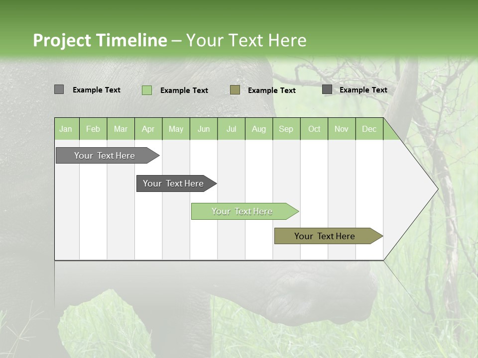 A Rhino Is Standing In The Grass Near A Tree PowerPoint Template