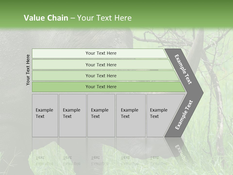 A Rhino Is Standing In The Grass Near A Tree PowerPoint Template