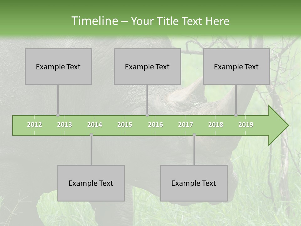 A Rhino Is Standing In The Grass Near A Tree PowerPoint Template