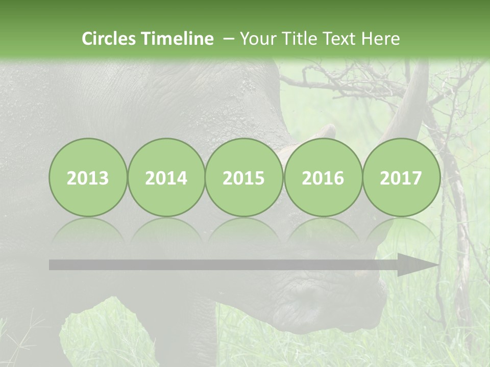 A Rhino Is Standing In The Grass Near A Tree PowerPoint Template