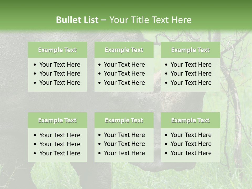 A Rhino Is Standing In The Grass Near A Tree PowerPoint Template