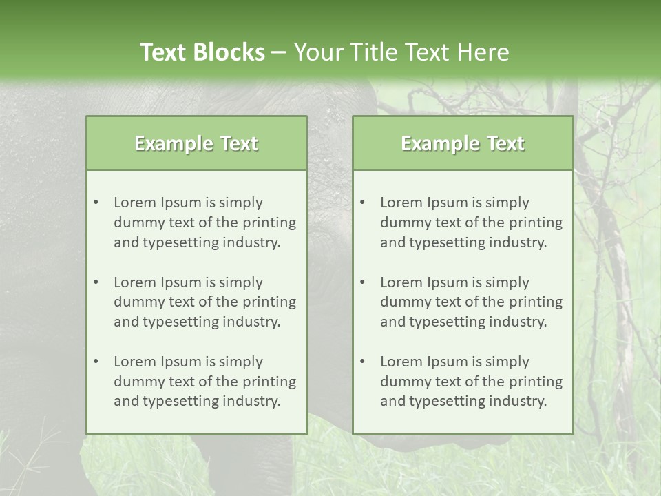 A Rhino Is Standing In The Grass Near A Tree PowerPoint Template