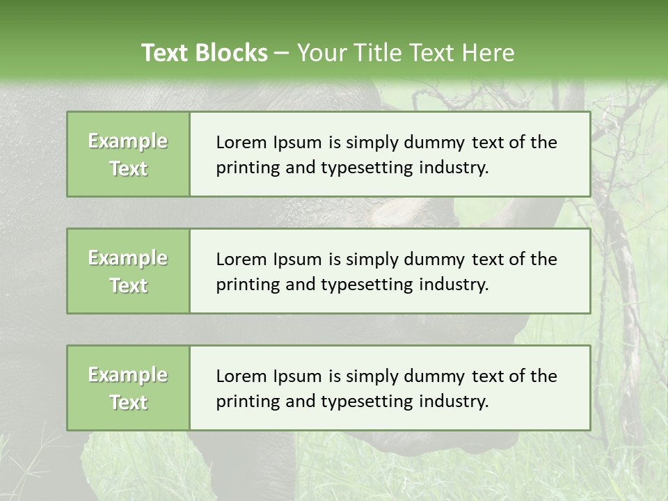 A Rhino Is Standing In The Grass Near A Tree PowerPoint Template