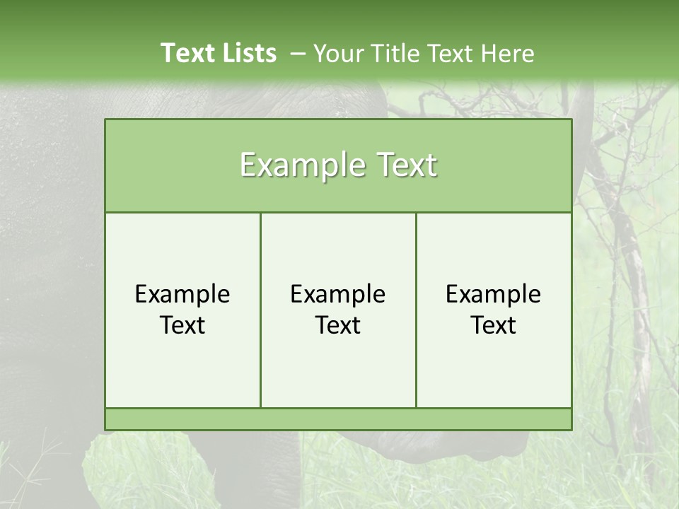 A Rhino Is Standing In The Grass Near A Tree PowerPoint Template