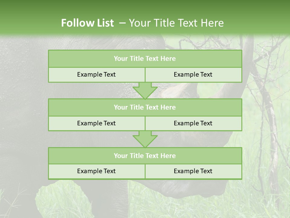 A Rhino Is Standing In The Grass Near A Tree PowerPoint Template